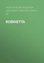 Allan McAulay - Robinetta
