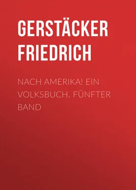 Friedrich Gerstäcker Nach Amerika! Ein Volksbuch. Fünfter Band обложка книги