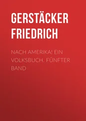 Friedrich Gerstäcker - Nach Amerika! Ein Volksbuch. Fünfter Band