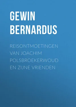 Bernardus Gewin Reisontmoetingen van Joachim Polsbroekerwoud en zijne Vrienden обложка книги