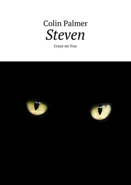 Colin Palmer Steven. Crazy on You обложка книги