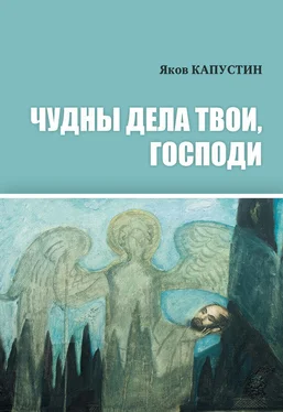 Яков Капустин Чудны дела твои, Господи обложка книги