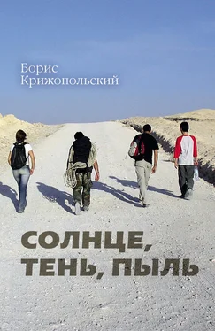 Борис Крижопольский Солнце, тень, пыль обложка книги