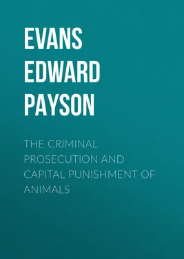 Edward Evans The Criminal Prosecution and Capital Punishment of Animals обложка книги