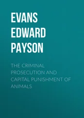 Edward Evans - The Criminal Prosecution and Capital Punishment of Animals