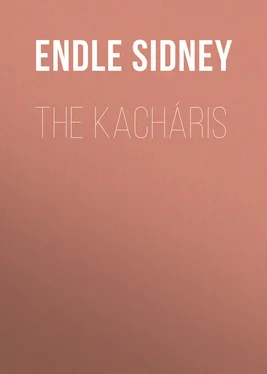 Sidney Endle The Kacháris обложка книги