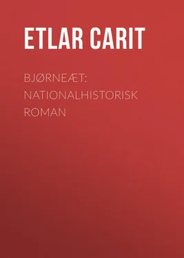 Etlar Carit Bjørneæt: Nationalhistorisk Roman обложка книги