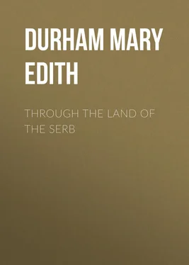 Mary Durham Through the Land of the Serb обложка книги