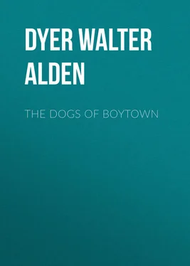 Walter Dyer The Dogs of Boytown обложка книги