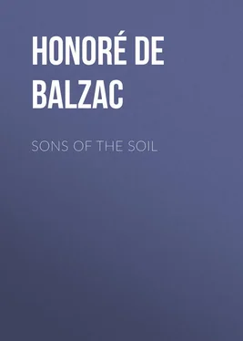 Honoré Balzac Sons of the Soil обложка книги