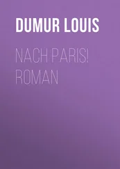 Louis Dumur - Nach Paris! Roman