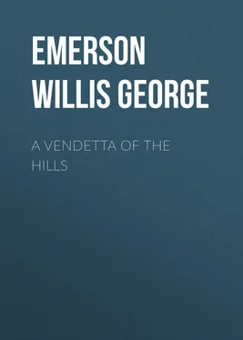 Willis Emerson A Vendetta of the Hills обложка книги