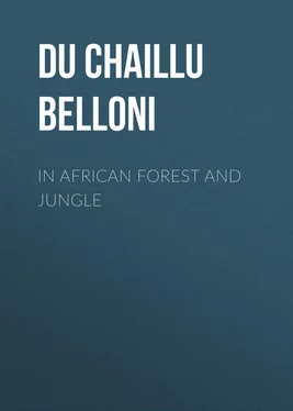 Paul Du Chaillu In African Forest and Jungle обложка книги