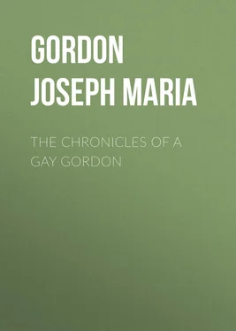Joseph Gordon The Chronicles of a Gay Gordon обложка книги