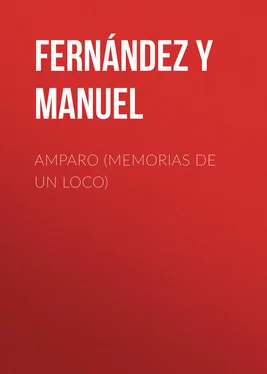Manuel Fernández y González Amparo (Memorias de un loco) обложка книги