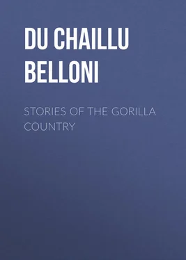 Paul Du Chaillu Stories of the Gorilla Country обложка книги