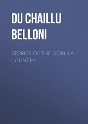 Paul Du Chaillu - Stories of the Gorilla Country