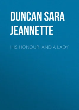 Sara Duncan His Honour, and a Lady обложка книги