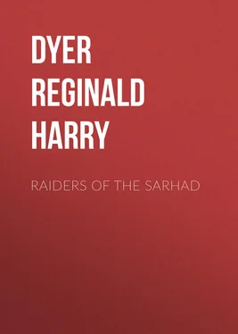 Reginald Dyer Raiders of the Sarhad обложка книги