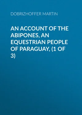 Martin Dobrizhoffer An Account of the Abipones, an Equestrian People of Paraguay, (1 of 3) обложка книги