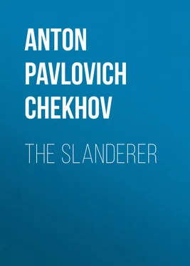 Anton Chekhov The Slanderer обложка книги