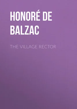 Honoré Balzac The Village Rector обложка книги
