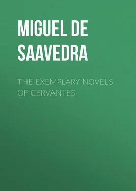 Miguel Cervantes The Exemplary Novels of Cervantes обложка книги