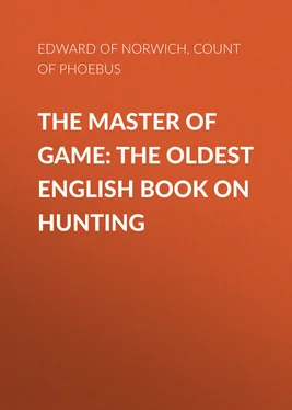 Edward Array The Master of Game: The Oldest English Book on Hunting обложка книги