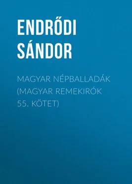 Sándor Endrődi Magyar népballadák (Magyar remekirók 55. kötet) обложка книги