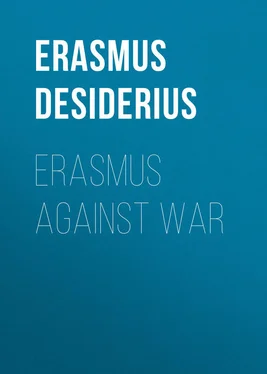 Desiderius Erasmus Erasmus Against War обложка книги