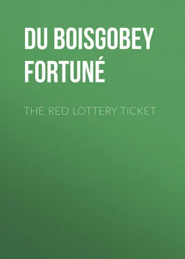 Fortuné Du Boisgobey The Red Lottery Ticket обложка книги