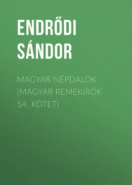 Sándor Endrődi Magyar népdalok (Magyar remekirók 54. kötet) обложка книги
