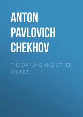 Anton Chekhov The Darling and Other Stories обложка книги