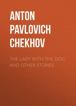 Anton Chekhov The Lady with the Dog and Other Stories обложка книги
