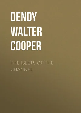 Walter Dendy The Islets of the Channel обложка книги