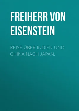 Richard Eisenstein Reise über Indien und China nach Japan. обложка книги