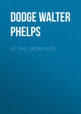 Walter Dodge As the Crow Flies обложка книги