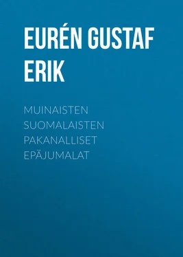 Gustaf Eurén Muinaisten suomalaisten pakanalliset epäjumalat обложка книги