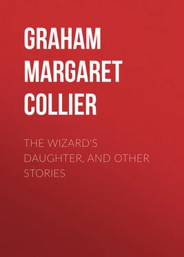 Margaret Graham The Wizard's Daughter, and Other Stories обложка книги
