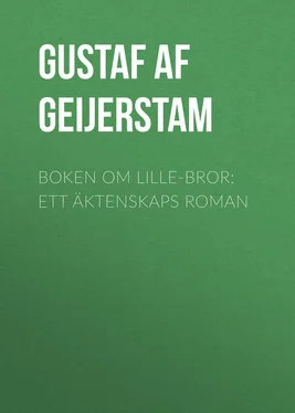 Gustaf Geijerstam Boken om lille-bror: Ett äktenskaps roman обложка книги