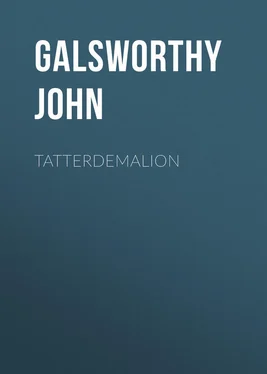 John Galsworthy Tatterdemalion обложка книги