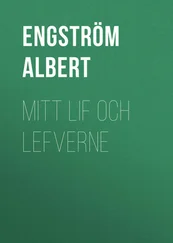 Albert Engström - Mitt lif och lefverne