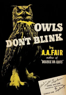 A. Fair Owls Don't Blink обложка книги