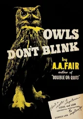 A. Fair - Owls Don't Blink