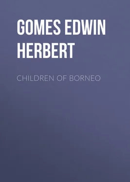 Edwin Gomes Children of Borneo обложка книги