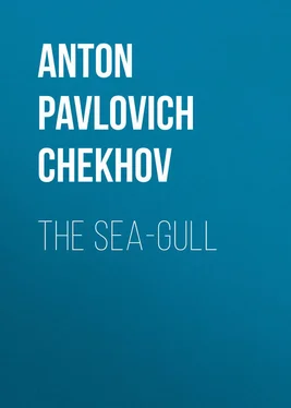 Anton Chekhov The Sea-Gull обложка книги