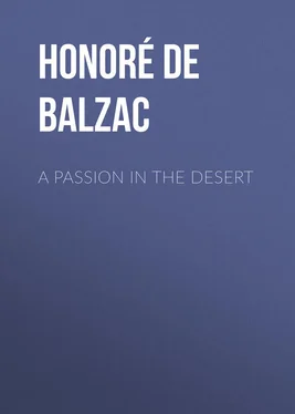 Honoré Balzac A Passion in the Desert обложка книги