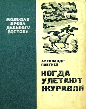 Александр Плетнев Когда улетают журавли