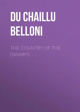 Paul Du Chaillu The Country of the Dwarfs обложка книги