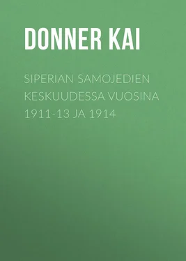 Kai Donner Siperian samojedien keskuudessa vuosina 1911-13 ja 1914 обложка книги